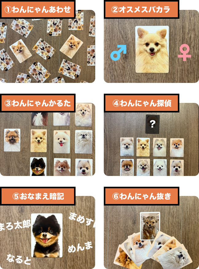 ①わんにゃんあわせ ②オスメスバカラ ③わんにゃんかるた ④わんにゃん探偵 ⑤おなまえ暗記 ⑥わんにゃん抜き