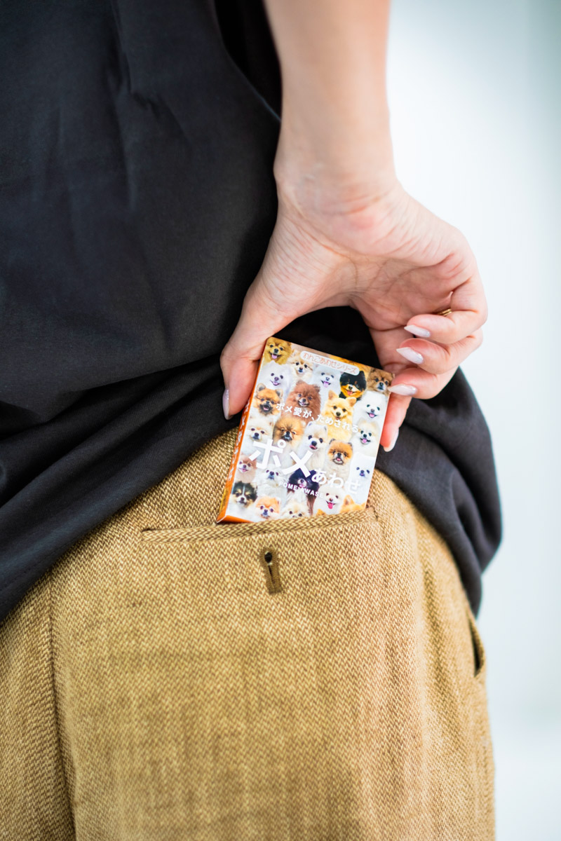 わんにゃんあわせアイキャッチ画像